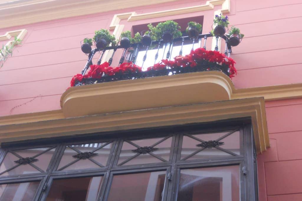 Cheap & Chic In The Center Of Sevilla エクステリア 写真